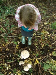 Forest School
